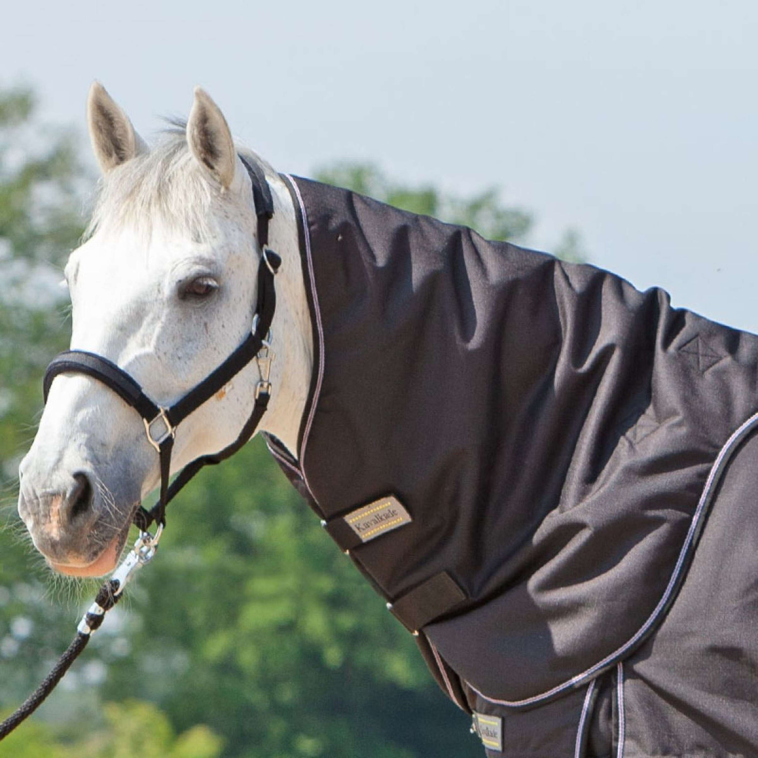 Kavalkade Halsstück Alaska IV 100g Schwarz