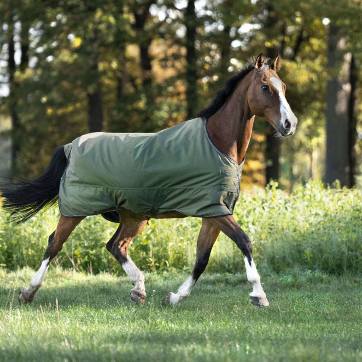 Kavalkade Outdoordecke Montreal 200g Grün