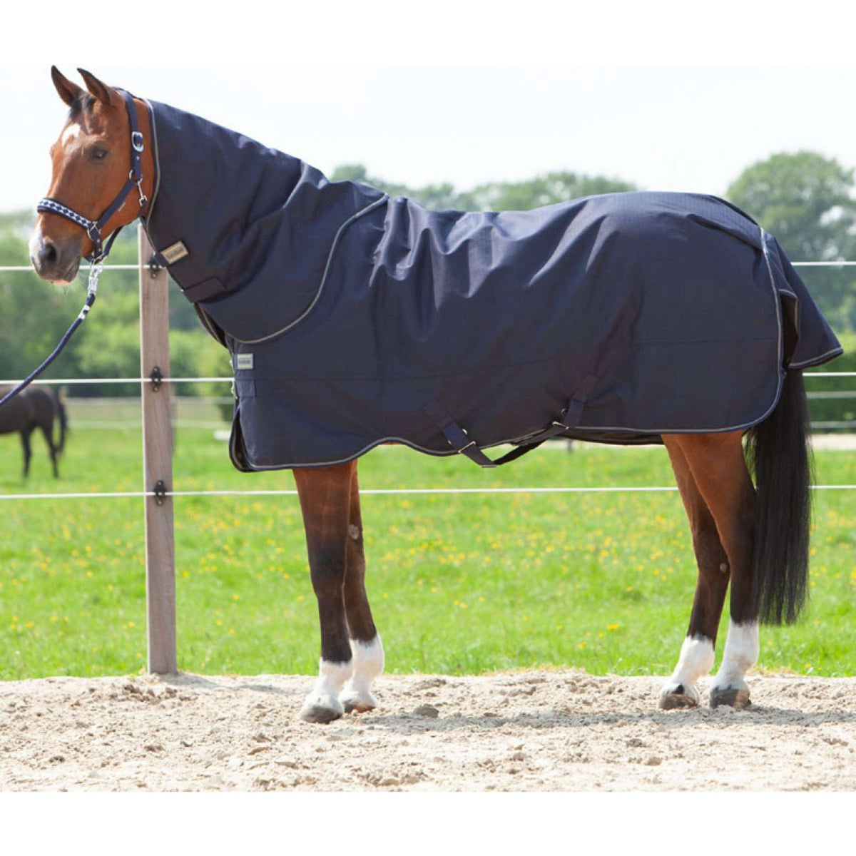 Kavalkade Halsstück Montreal 100g Navy