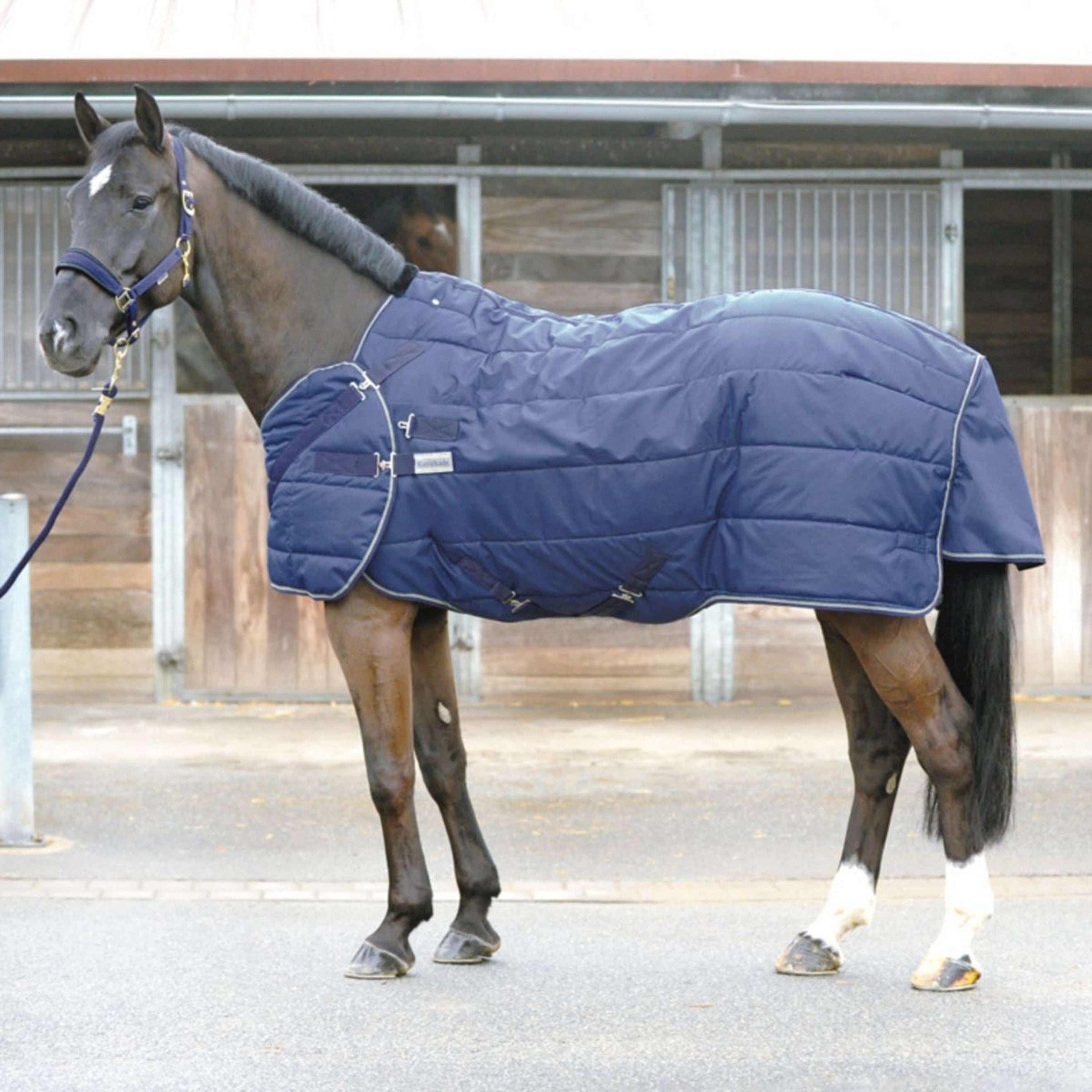 Kavalkade Decke Halifax 2in1 400g Navy Kavalkade Decke Halifax 2in1 400g Navy