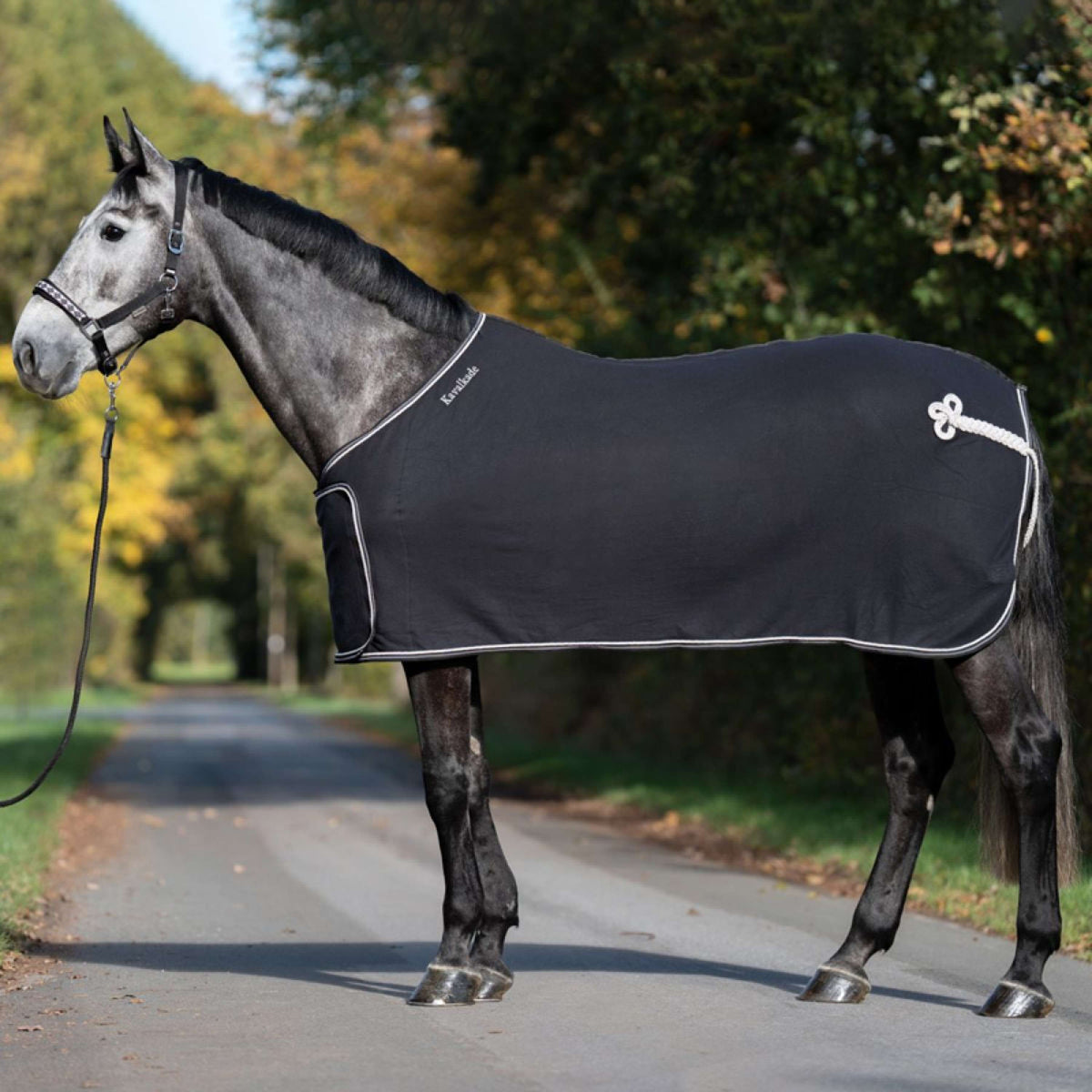 Kavalkade Cooler Removable Chest Flap Schwarz/Weiß