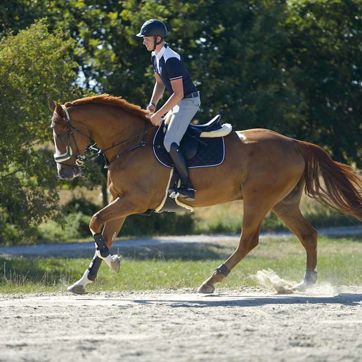 Kavalkade Reitstiefel Maximus Schwarz