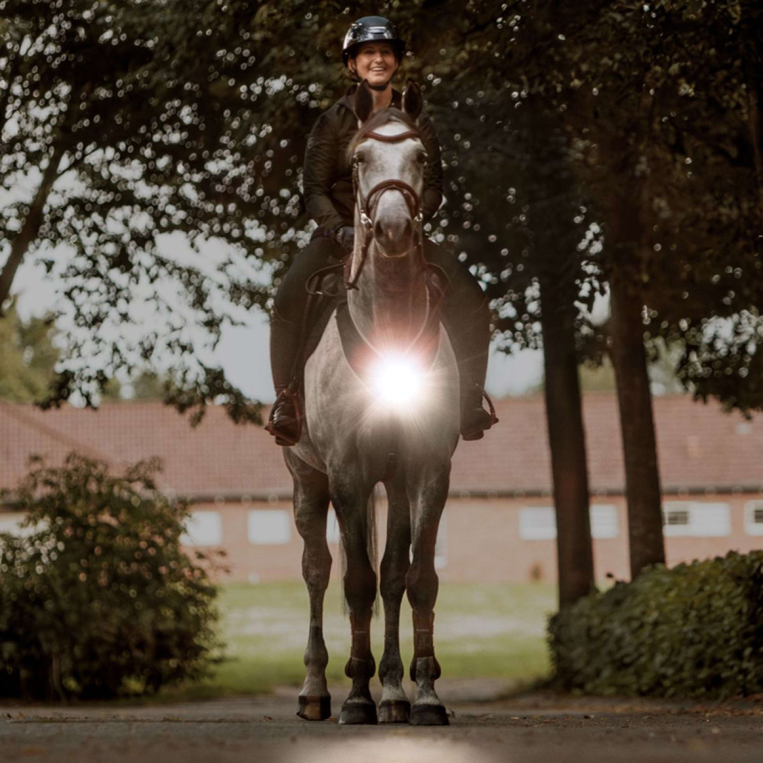 Kavalkade Vorderzeug/Sattel Horselight Schwarz/Grau Kavalkade Vorderzeug/Sattel Horselight Schwarz/Grau