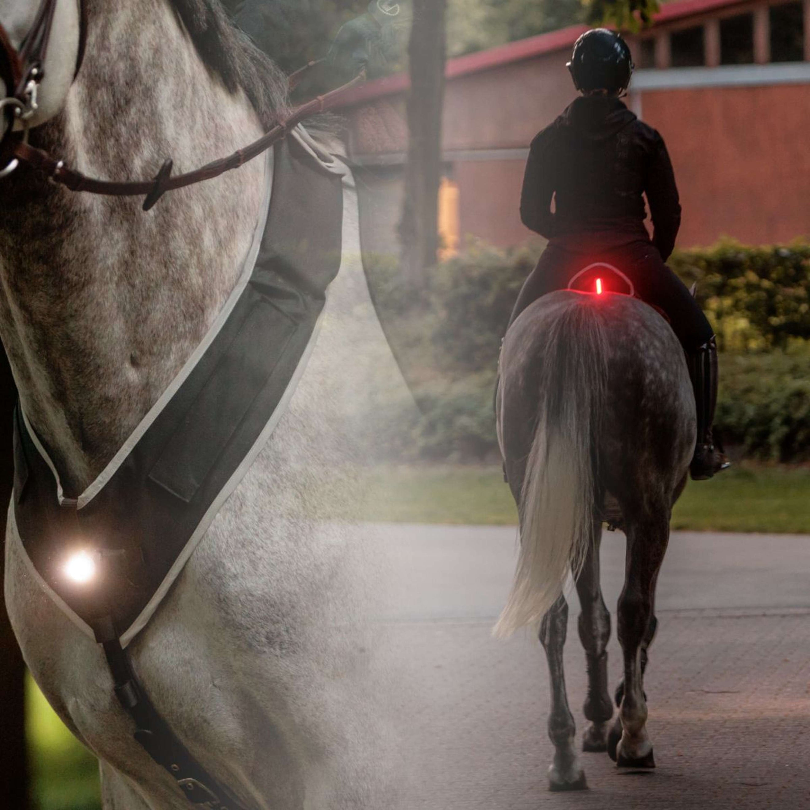 Kavalkade Vorderzeug/Sattel Horselight Schwarz/Grau