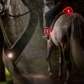 Kavalkade Vorderzeug/Sattel/Bein Horselight Schwarz/Grau