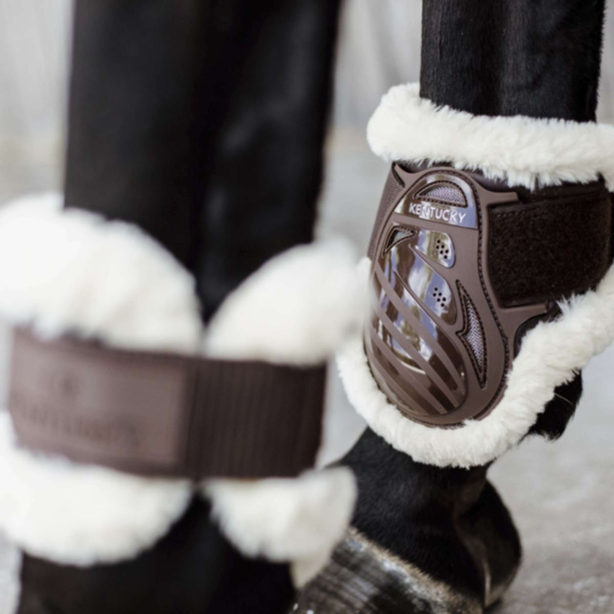 Kentucky Horsewear Streichkappen Young Horse Vegan Sheepskin Braun