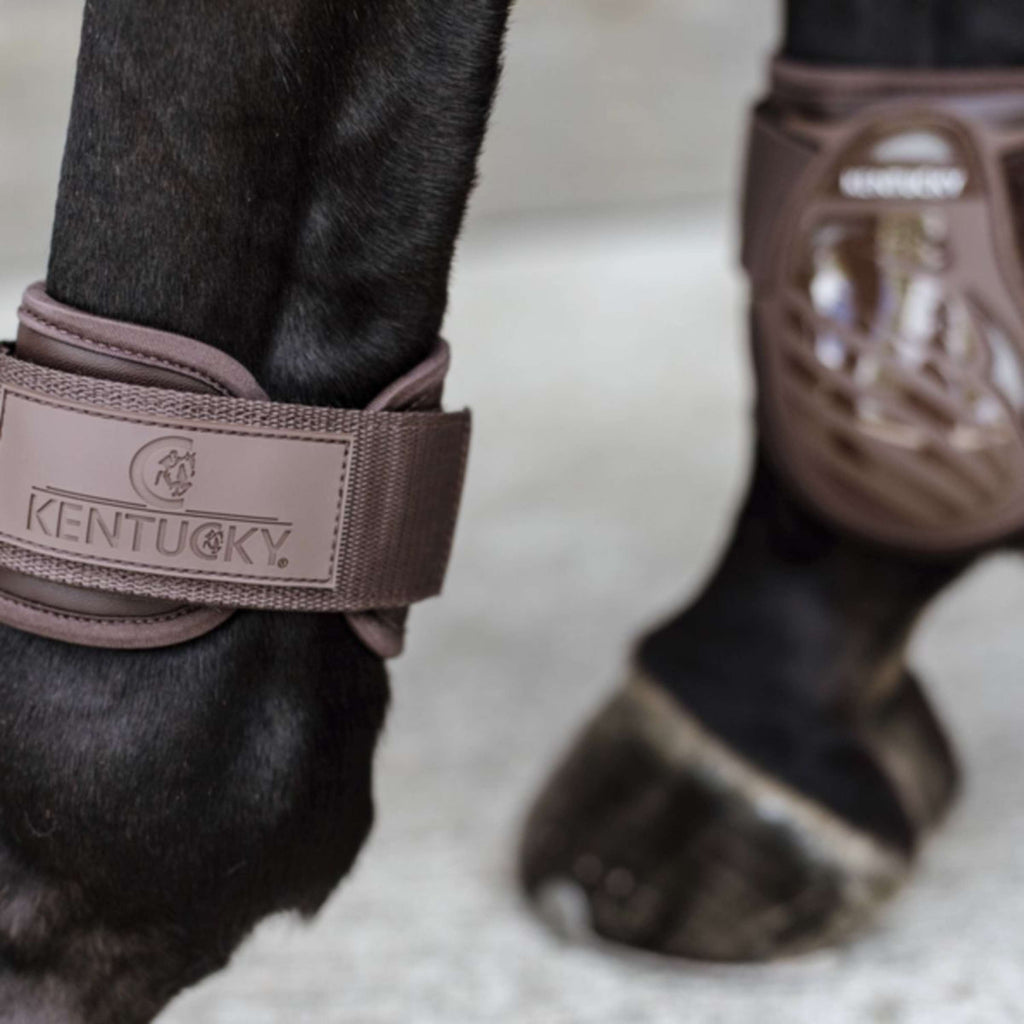 Kentucky Horsewear Streichkappen Young Horse Braun