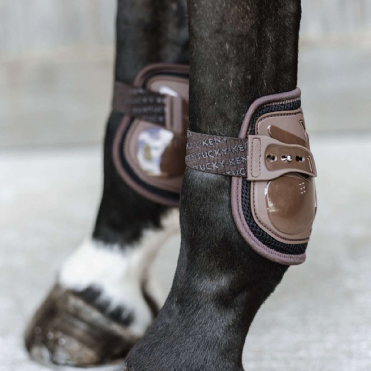 Kentucky Horsewear Kugelschützer Moonboots Air Braun