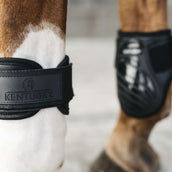 Kentucky Horsewear Streichkappen Young Horse Schwarz