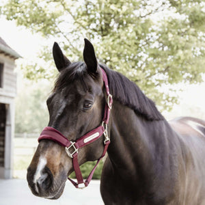 Kentucky Halfter Velvet Bordeaux