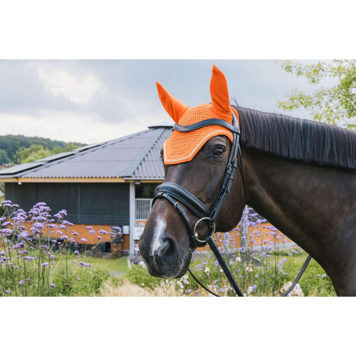 Kentucky Fliegenhaube Wellington Diamantschnur Orange