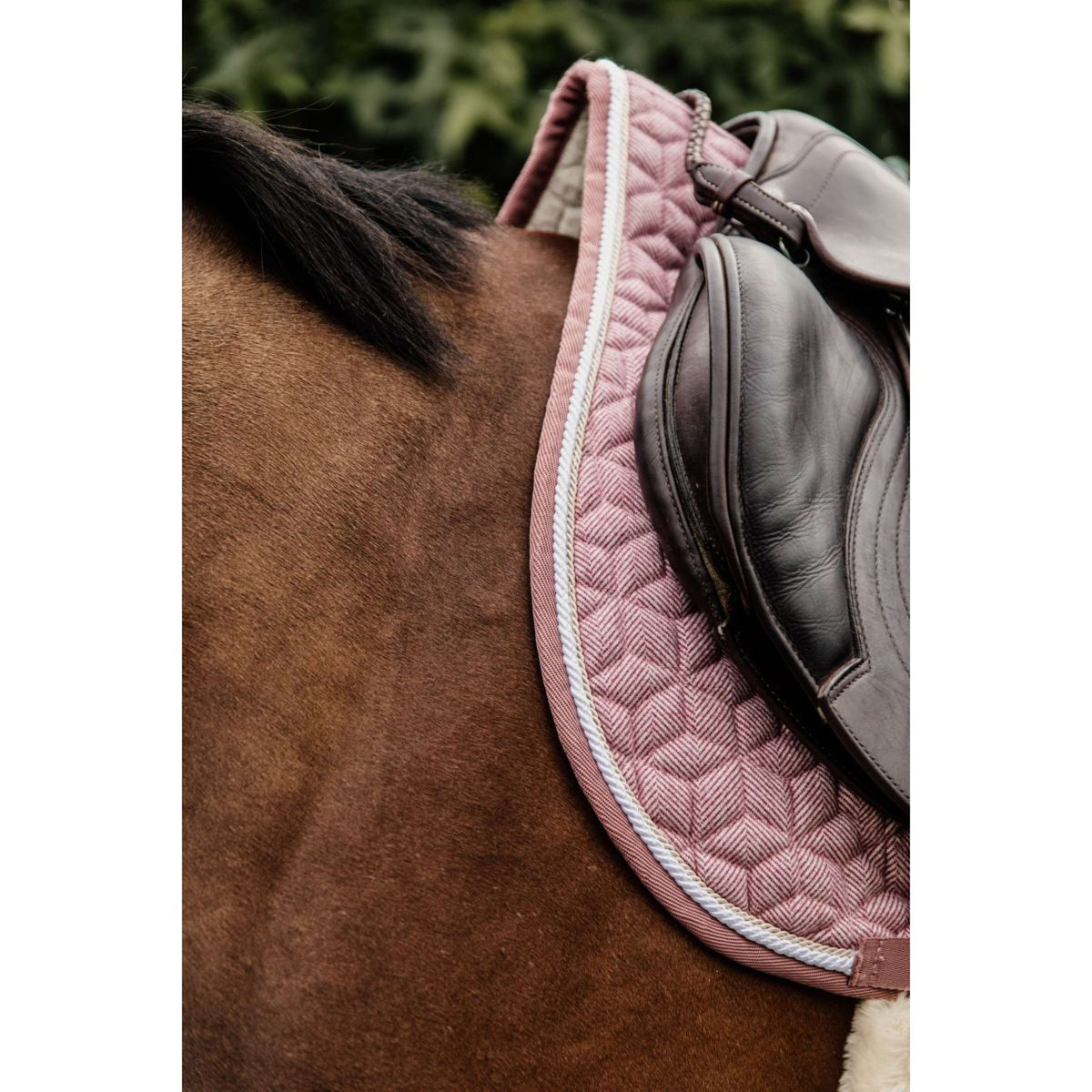 Kentucky Horsewear Schabracke Wolle Springen Hellrosa