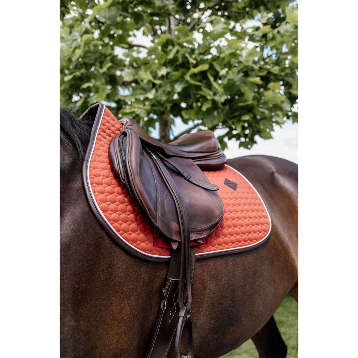 Kentucky Schabracke Springen Classic Leder Orange