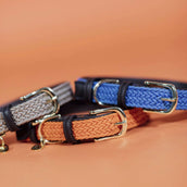 Kentucky Kragen Plaited Nylon Hellblau