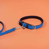 Kentucky Dogwear Hundeleine Plaited Nylon Hellblau