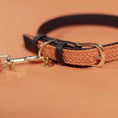 Kentucky Kragen Plaited Nylon Orange