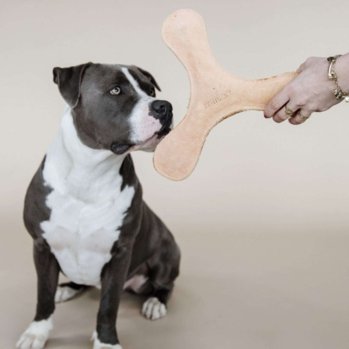 Kentucky Hundespielzeug Boomerang Pastel Pfirsichfarben