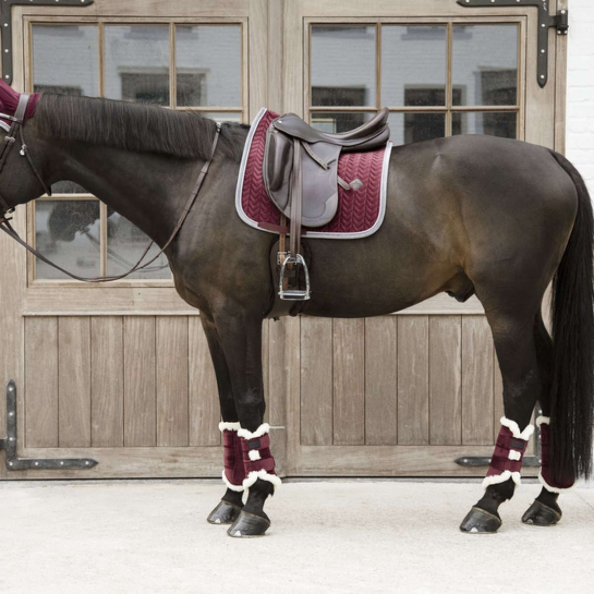 Kentucky Horsewear Beinschutz Bordeaux