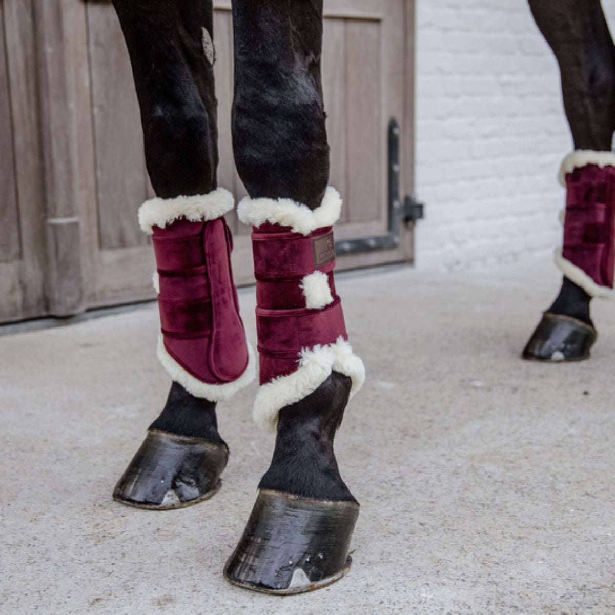 Kentucky Horsewear Beinschutz Bordeaux