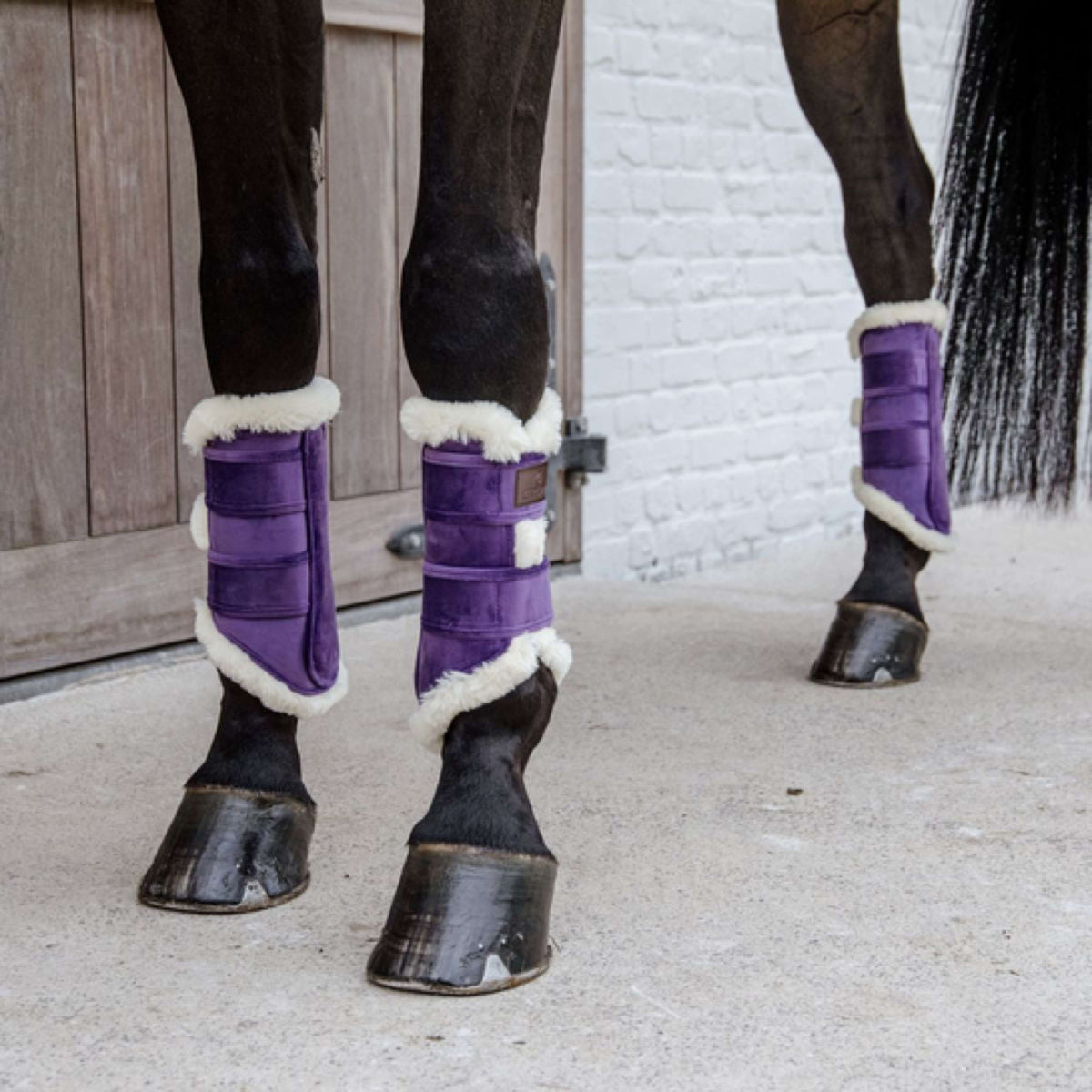Kentucky Horsewear Beinschutz Violett