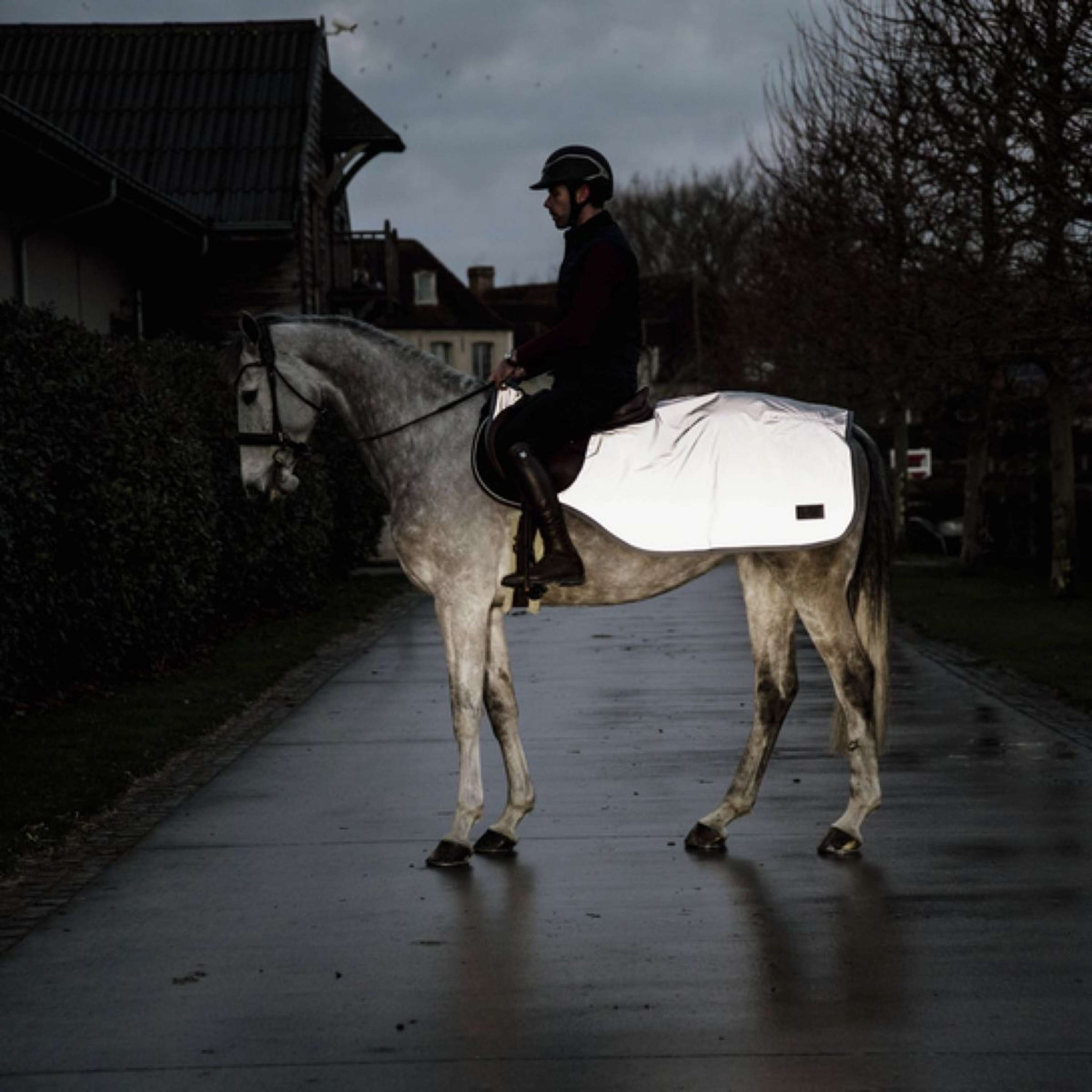 Kentucky Ausreitdecke Reflective Reflective
