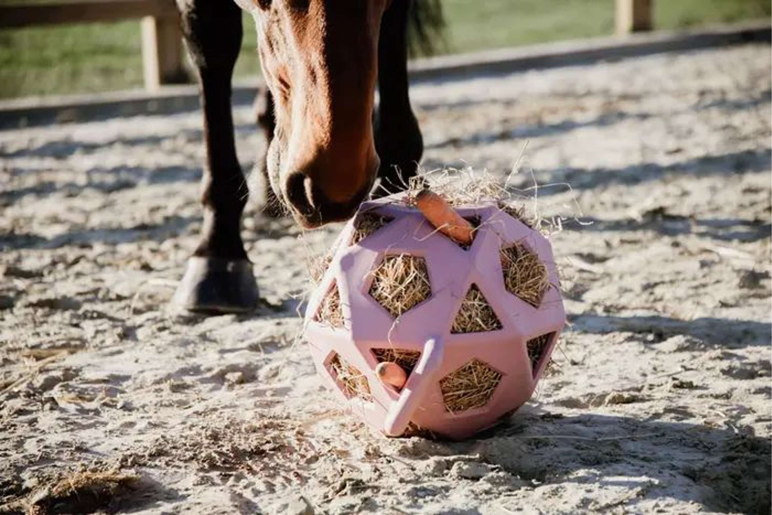 Kentucky Spielball Play & Hay Altrosa Kentucky Spielball Play & Hay Altrosa