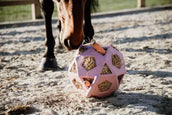 Kentucky Spielball Play & Hay Altrosa