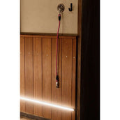 Kentucky Anbindestrick Silicone Rosa