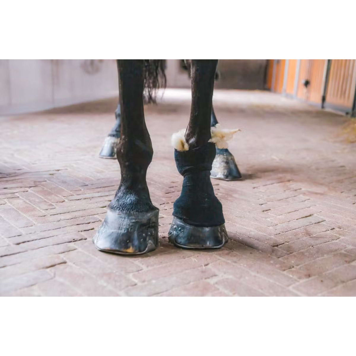 Kentucky Horsewear Therapeutische Wolle Weiß