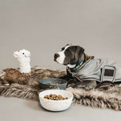 Kentucky Dog Coat Reflective & Water Repellent Silber