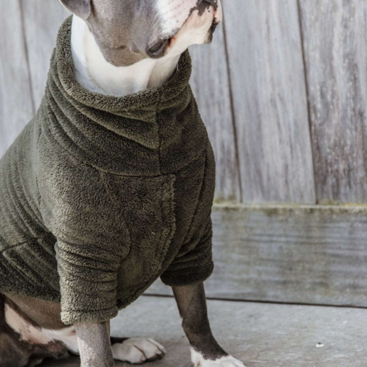 Kentucky Hunde Sweater Teddy Fleece Pine Green