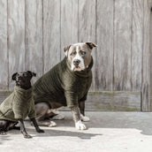 Kentucky Hunde Sweater Teddy Fleece Pine Green