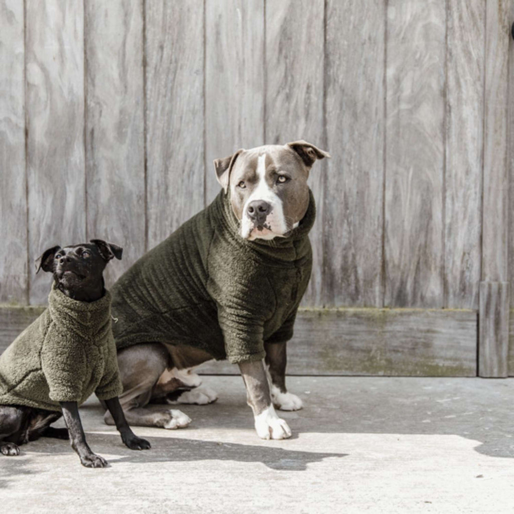 Kentucky Hunde Sweater Teddy Fleece Pine Green