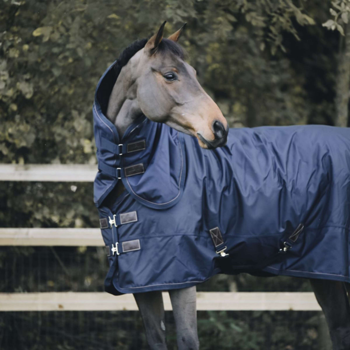 Kentucky Halsstück All Weather 150g Navy