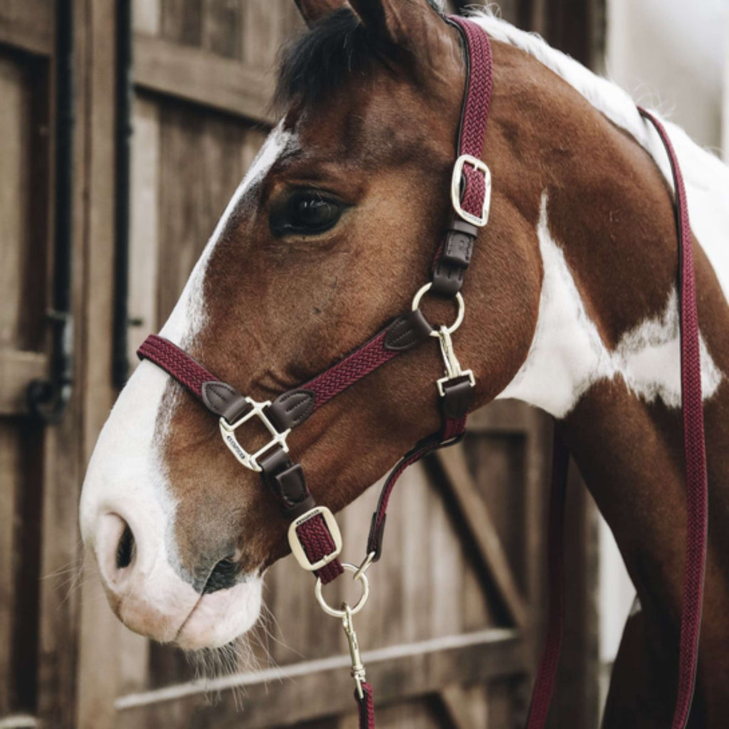 Kentucky Halfter Geflochten Nylon Bordeaux