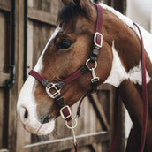 Kentucky Halfter Plaited Nylon Bordeaux