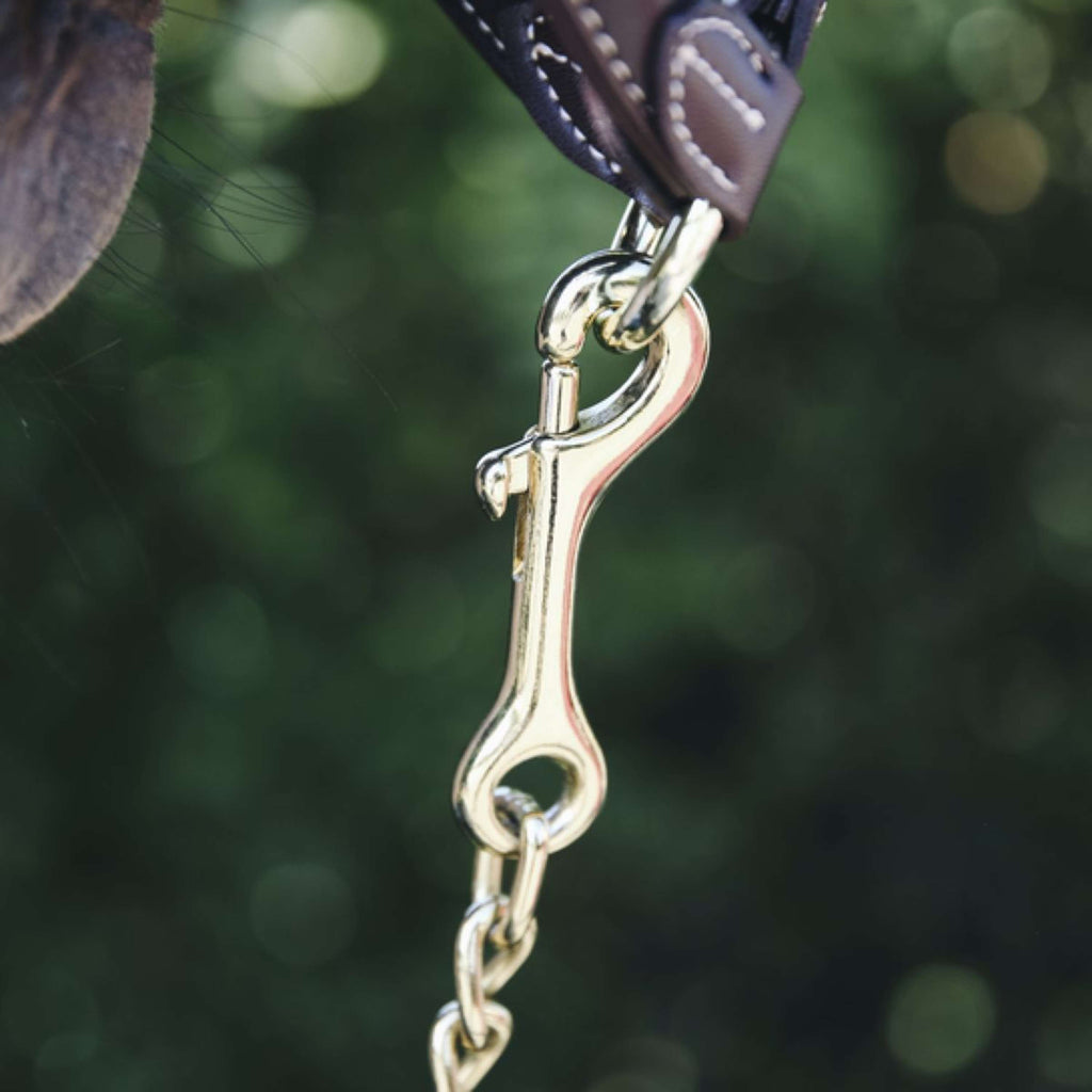 Kentucky Hengst Kette
