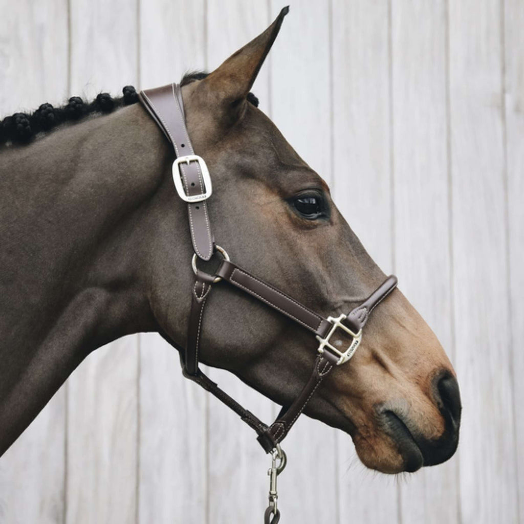 Kentucky Halfter Anatomisches Leder Braun