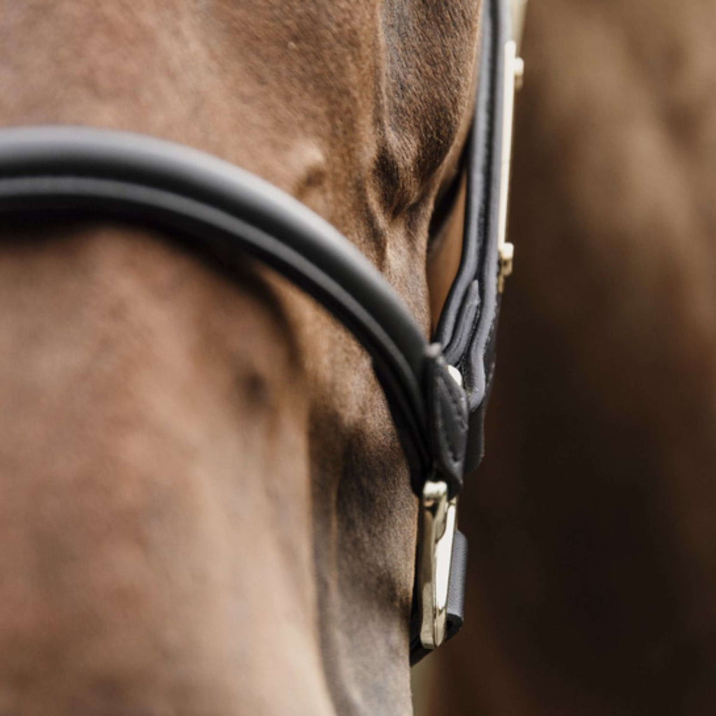 Kentucky Halfter Anatomisches Leder Schwarz