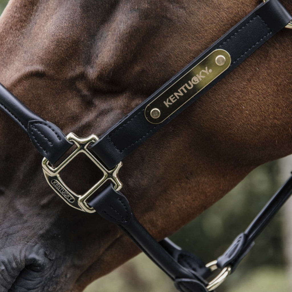 Kentucky Halfter Anatomisches Leder Schwarz