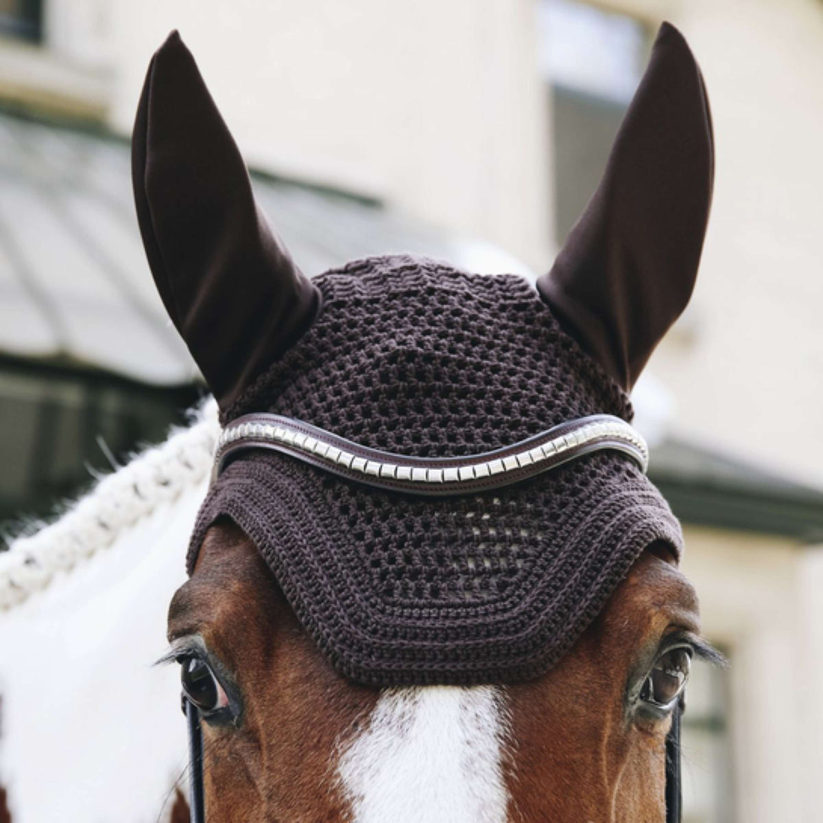 Kentucky Fliegenhaube Wellington Braun