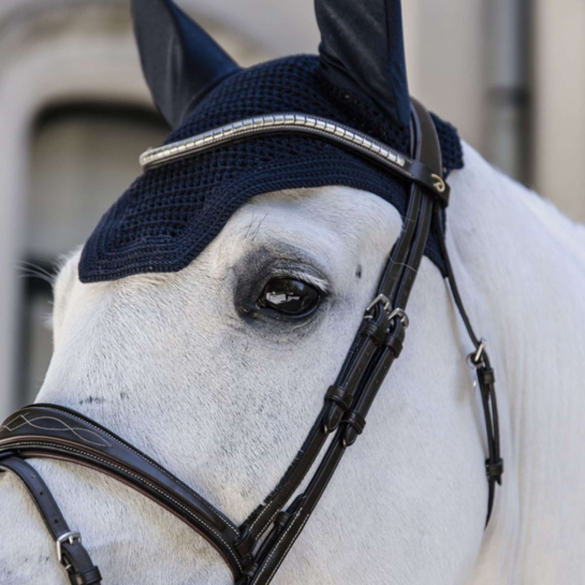 Kentucky Fliegenhaube Wellington Dark Navy