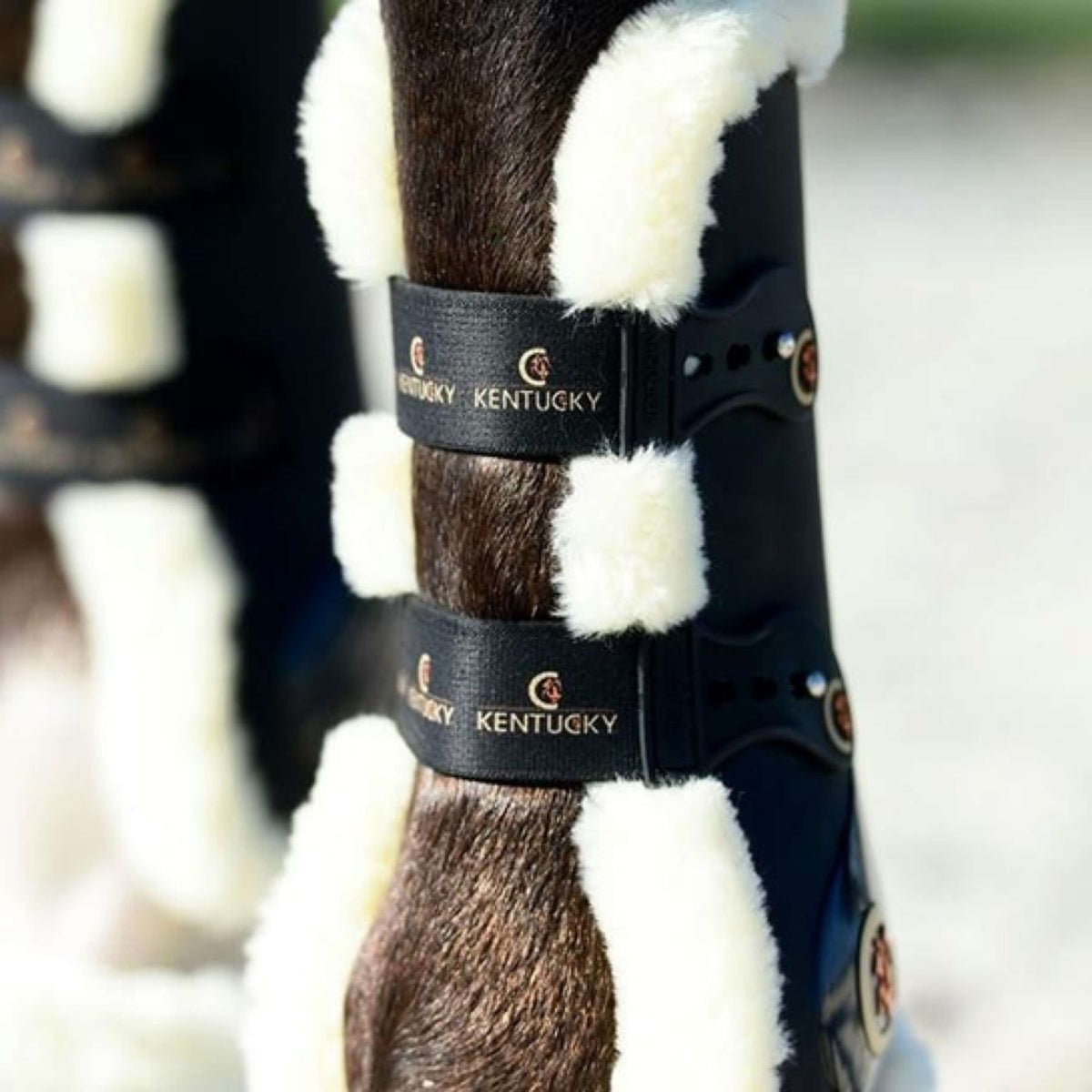 Kentucky Horsewear Sehnenschutz Schwarz