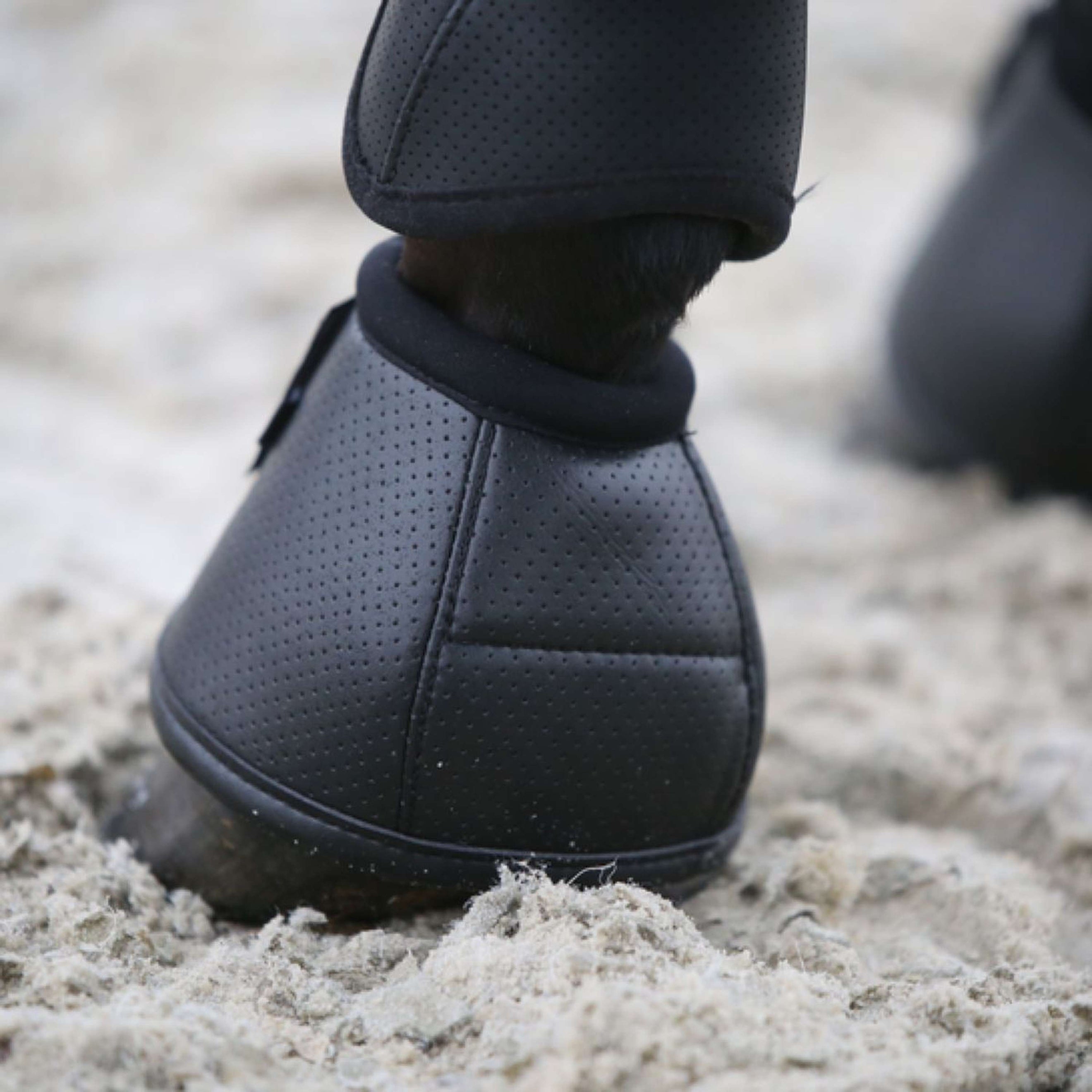 Kentucky Horsewear Hufglocken Air Tech Schwarz Kentucky Horsewear Hufglocken Air Tech Schwarz