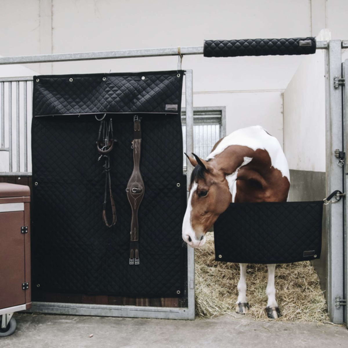 Kentucky Stable Guard Schwarz