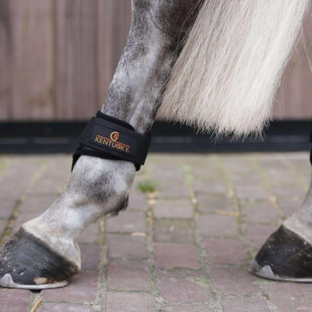 Kentucky Horsewear Streichkappen Young Horse Schwarz