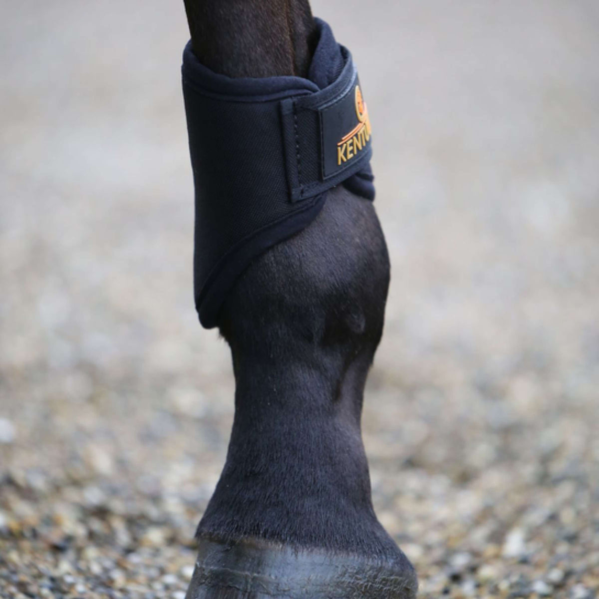 Kentucky Horsewear Turnout Boots 3D Spacer Kurz Schwarz