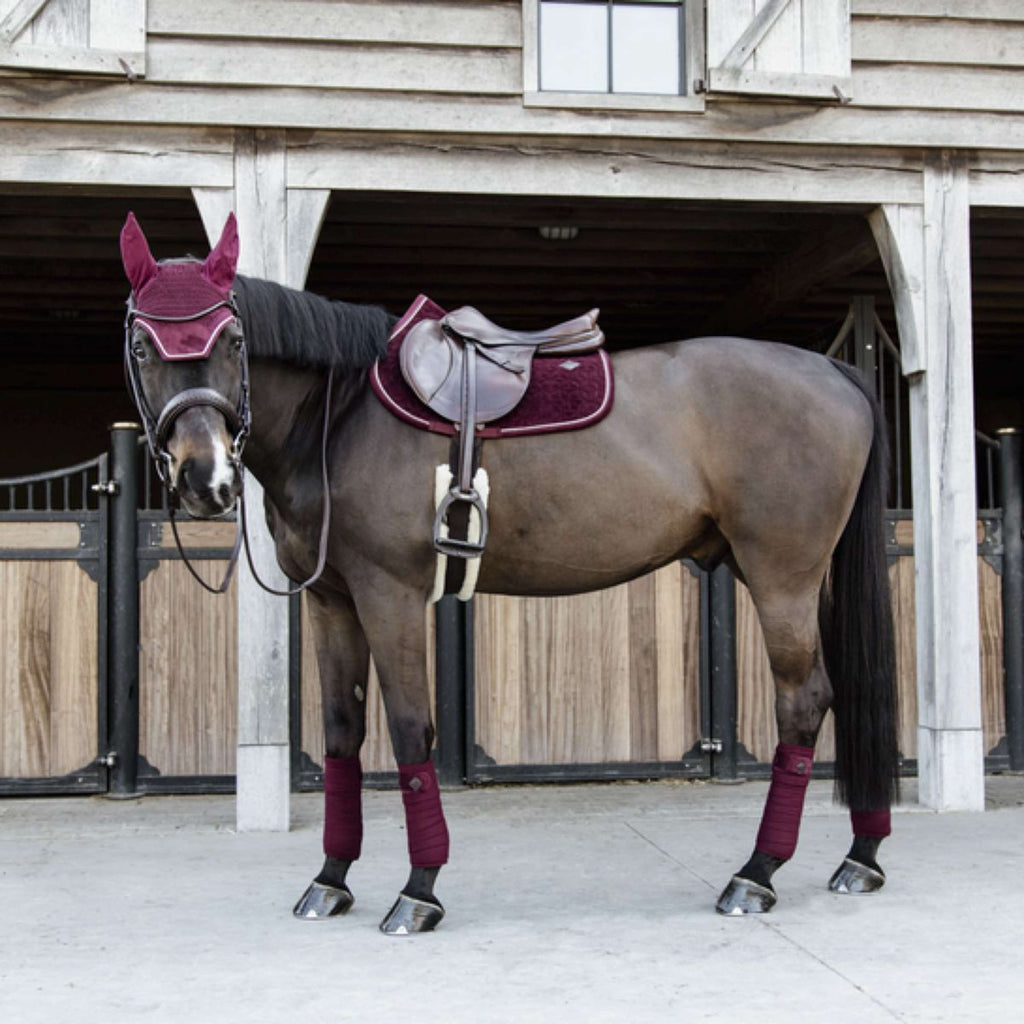 Kentucky Schabracke Velvet Bordeaux