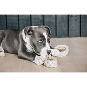 Kentucky Hundespielzeug Cotton Rope 8 Loop