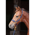 Covalliero Fohlenhalfter TopLine Navy